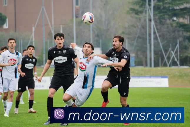 新威尼斯人服务体系